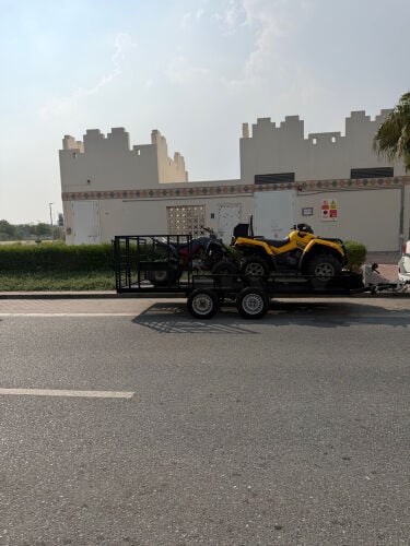 قلص كبير 