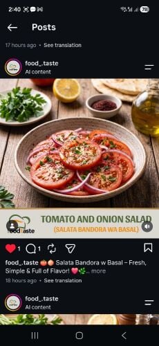 salad,pizza,soup,biriyani