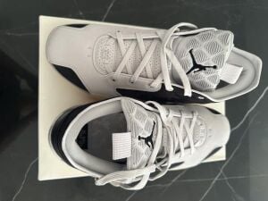 Air Jordan Type 39 size 12