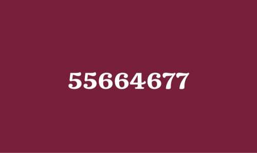5566