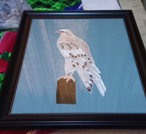 Falcon frame size 20 ...16