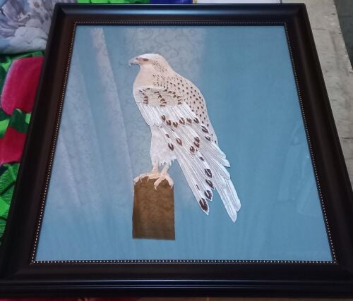 falcon  brand new