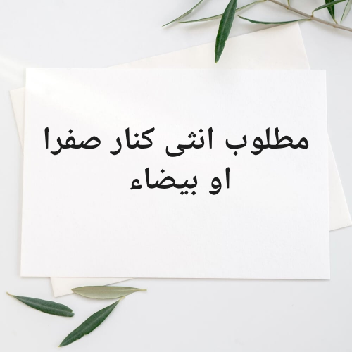 مطلوب انثى كنار صفرا او بيضاء
