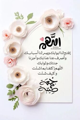 عايدة