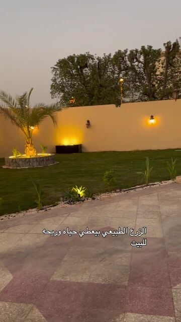 زراعة وديكور ومتابعه شهريه
