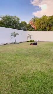 عمل اجمل الحدائق