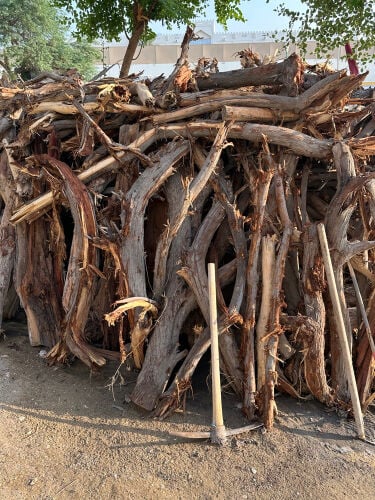 حطب