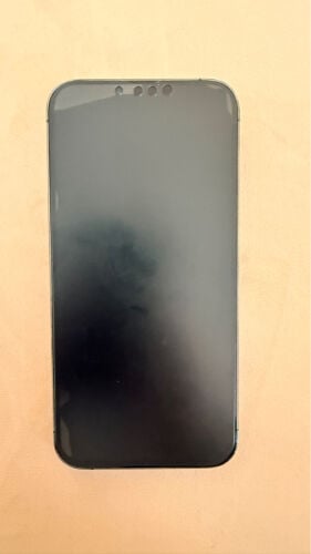 iPhone 13 Pro Max 256 GB