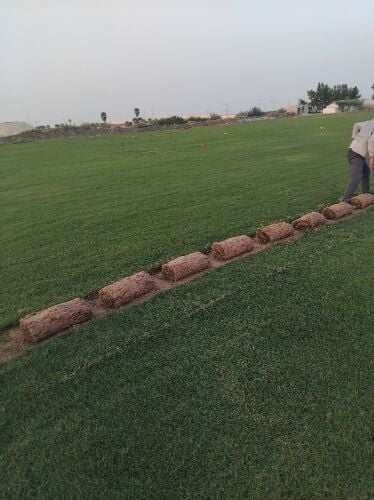لزراعة وتنسيق الحدايق