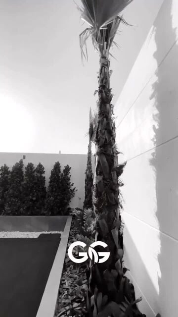 منسق حدائق