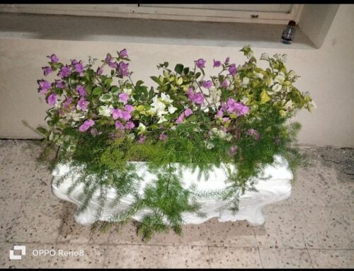 نوفر لكم خدمه توريد أحواض الزراعه