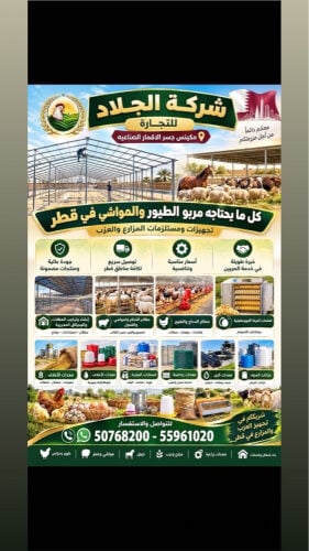 مزارع ازولا