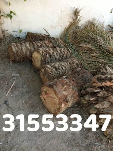 قص وتقطيع الاشجار