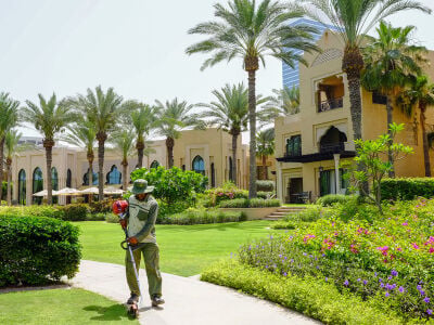 خدمات البستنة وتنسيق الحدائق