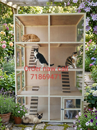 All furniture sale chicken house