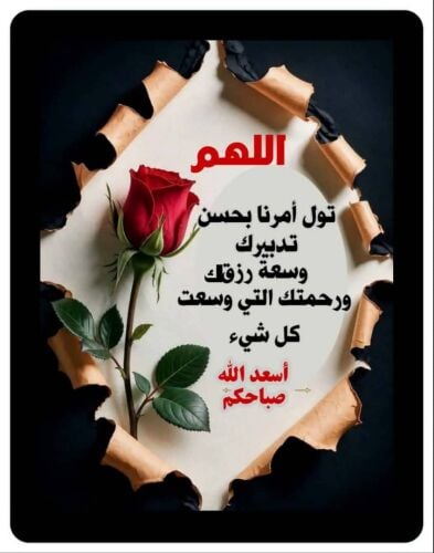ابحث عن عمل